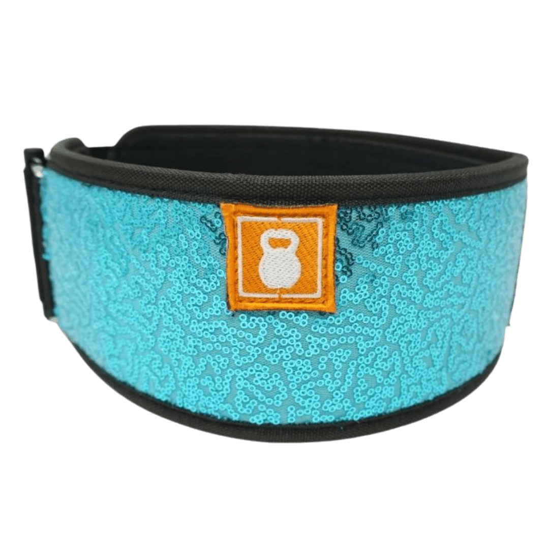 2POOD Gewichthebergürtel - wodstore